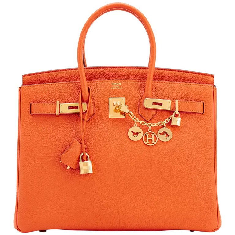 3172233 master - Is Hermes Birkin Bag Worth the Price